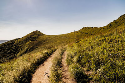 Scenic view of landscape against sky