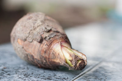 Close-up of taro on table