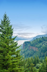 Scenic view of landscape and sea against blue sky