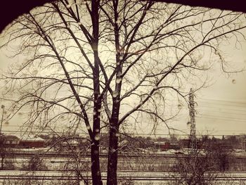 Bare trees by buildings against sky in city