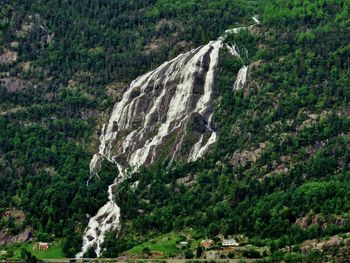 Scenic view of waterfall in forest