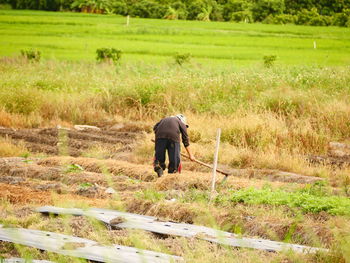 Rear view of man working on agricultural field