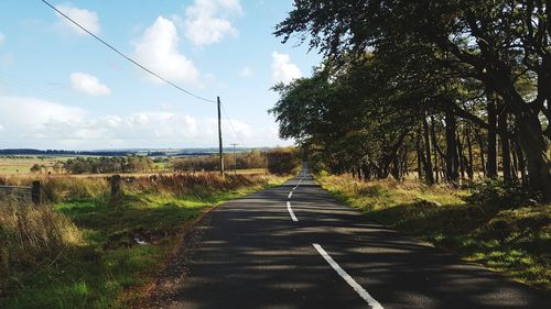 Road amidst trees against sky