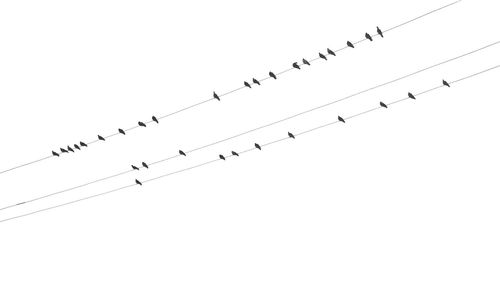 Low angle view of birds flying against clear sky