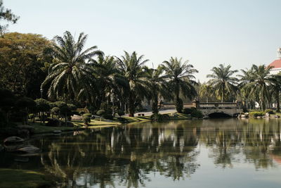 Palm trees by lake against sky