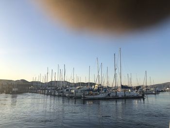Sailboats moored in harbor