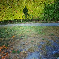 High angle view of shadow on field