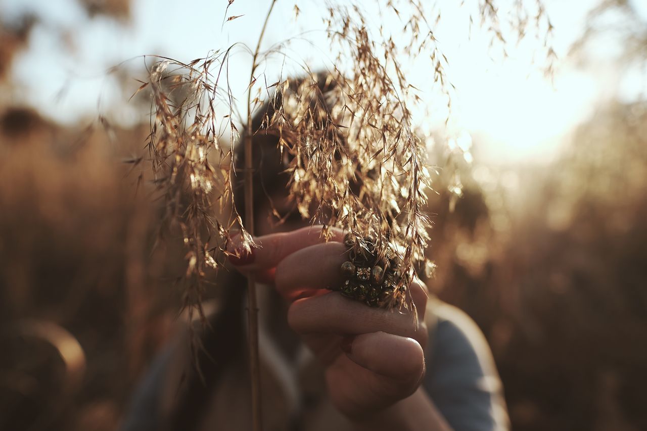 one person, human hand, real people, nature, day, hand, selective focus, holding, plant, lifestyles, focus on foreground, leisure activity, human body part, close-up, women, outdoors, adult, sky, sunlight, lens flare, finger