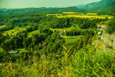 Scenic view of agricultural field