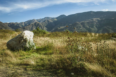 Scenic view of landscape against sky