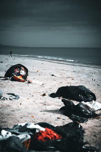 View of crab on beach