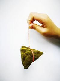 Close-up of hand holding leaf over white background