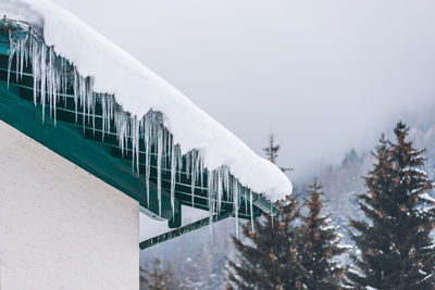 Snow covered railing by trees against sky