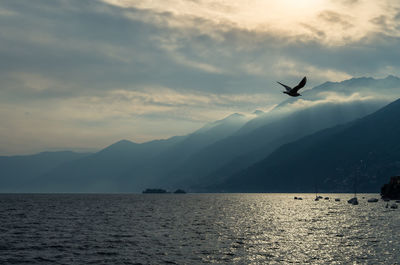 Seagull flying over sea against cloudy sky