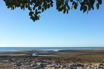 Scenic view of sea against clear blue sky