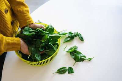 Women hands washing baby spinach leaves