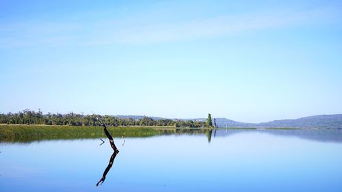 Scenic view of lake against clear sky