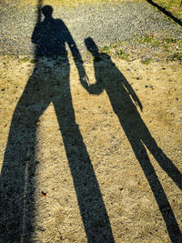 Shadow of man on zebra crossing