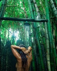 Rear view of shirtless woman taking showing amidst bamboo