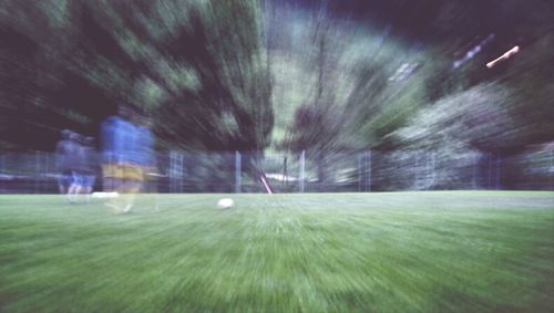 Blurred motion of trees at night