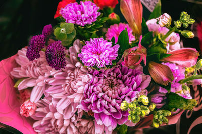 Purple and pink flowers grouped together