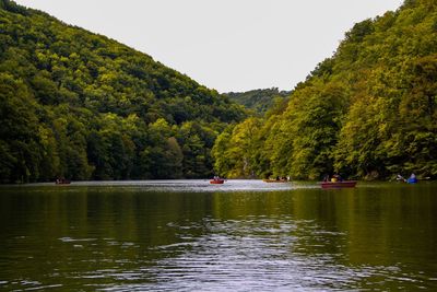 Scenic view of river in forest against sky