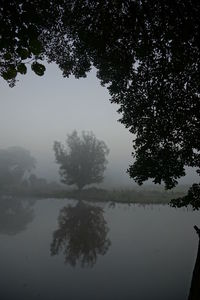 Silhouette tree by lake against sky