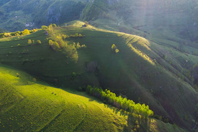 High angle view of agricultural field