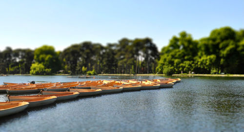 Boats moored at river