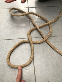 High angle view of human hand holding tiled floor