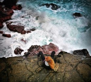 High angle view of ducks on rock in sea