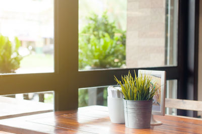 Close-up of potted plant on table