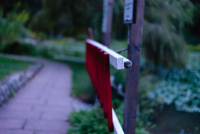 Close-up of red plant in park