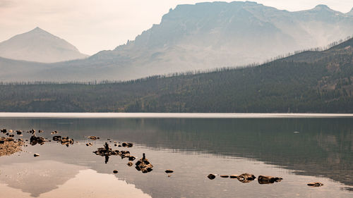 Swans swimming in lake against mountains