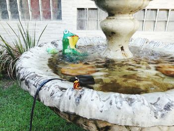 Close-up of water in city