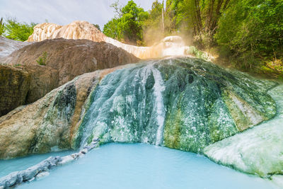 Scenic view of waterfall in forest