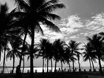 Silhouette palm trees on beach against sky