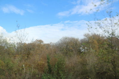 Plants growing on landscape against sky