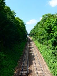 Empty railroad tracks amidst trees against sky