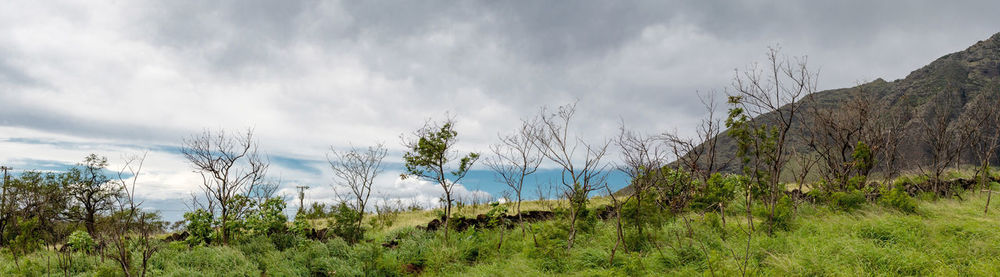 Panoramic view of landscape against sky