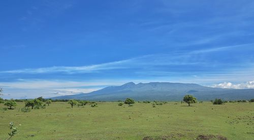 Scenic view of landscape against blue sky