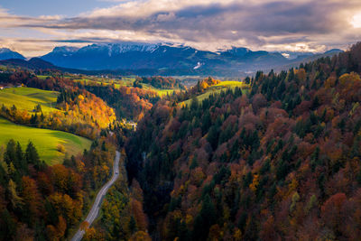 Aerial photo of car on road winding through forest in colorful fall foliage, austria.