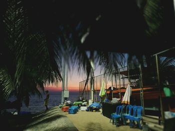 Palm trees at beach against sky