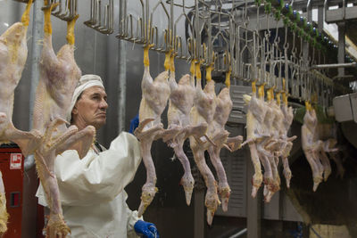 Excursion to the production of duck semi-finished products. full cycle from cutting to packaging 