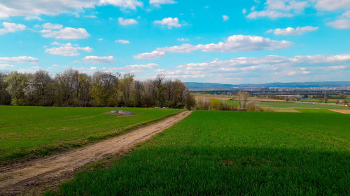 Scenic view of field against sky