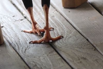 Low section of person on wood