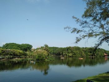 Scenic view of river against clear sky