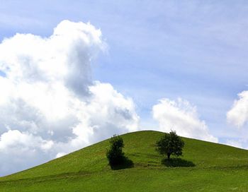 Scenic view of grassy field against sky