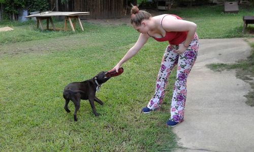 Full length of woman with dog on grass