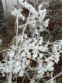 Close-up of snow